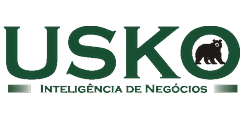 USKO Inteligência de Negócios